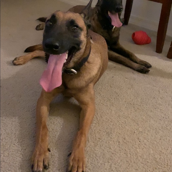 Meet your Posher, Tyler - Picture 3 of 5